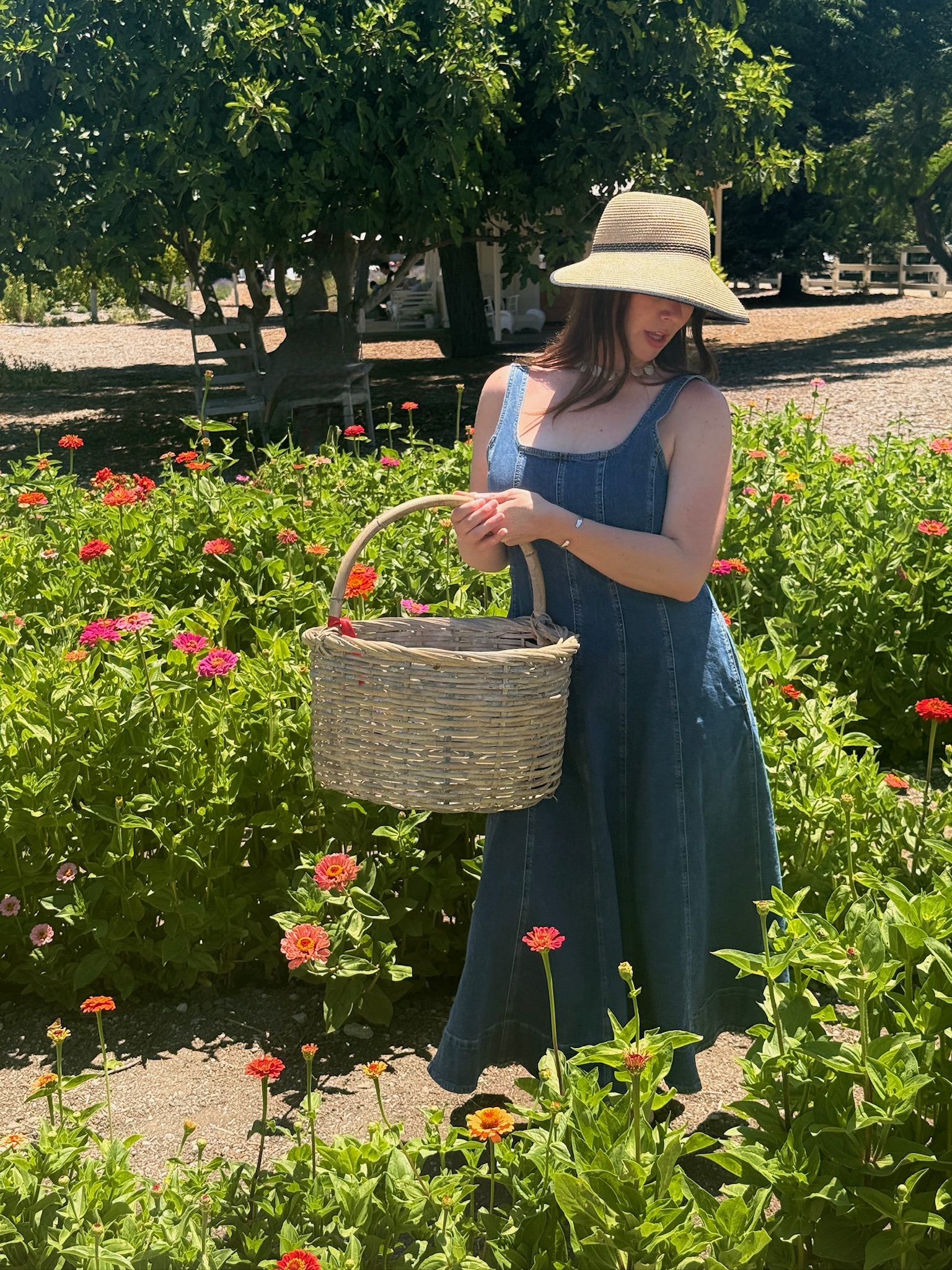 Chelsea in a garden carrying a basket
